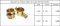 BRASS QUICK COUPLING DOU TWIS  มีสินค้า