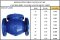 KISTLER SWING CHECK VALVE MODEL #SCV-601  **มีสินค้า