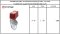 "POTTER ELECTRIC" WATER FLOW SWITCH MODEL : VSR-F, VAN TYPE มีสินค้า