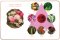 MAYA LOVER REED DIFFUSER