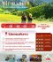 Amazing Sapa Fansipan Tour 2026
