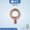 Eye Bolts อายโบลท์ (CHI)