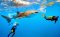 (ดำน้ำดูฉลามวาฬ) ทัวร์เอเชีย ฟิลิปปินส์ เซบู 5 วัน 2 คืน บินฟิลิปปินส์แอร์ไลน์ (PR)
