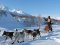Husky Sledding