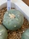 Lophophora fricii super white size 3-4 cm JAPAN import 7 years old - can give flower and seed including PHYTOSANITARY CERTIFICATES AND CITES DOCUMENT