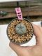 Lophophora Williamsii 6-7 cm 9 years old seed ownroot flower seedling ロフォフォラ　烏羽玉　仔吹き　サボテン