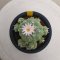 Lophophora Fricii  4-5 cm 15 years old seed ownroot flower seedling ロフォフォラ　烏羽玉　仔吹き サボテン