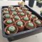 20 plants Lophophora williamsii 4-5 cm 15 years old seed ownroot flower seedling ロフォフォラ　烏羽玉　仔吹き サボテン