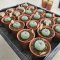 20 plants Lophophora williamsii 4-5 cm 15 years old seed ownroot flower seedling ロフォフォラ　烏羽玉　仔吹き サボテン