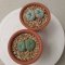 Lophophora Williamsii Twin 4-5 cm 7 years old seed ownroot flower seedling ロフォフォラ　烏羽玉　仔吹き サボテン(copy)