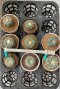 Lophophora Mix cm 8 years old seed ownroot flower seedling ロフォフォラ　烏羽玉　仔吹き サボテン