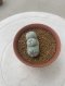 Lophophora Fricii Triples  4-5 cm 8 years old seed ownroot flower seedling ロフォフォラ　烏羽玉　仔吹き サボテン