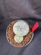 Lophophora Williamsii 6-7 cm 10 years old seed ownroot flower seedling ロフォフォラ　烏羽玉　仔吹き　サボテン