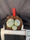 Lophophora Williamsii 6-7 cm 10 years old seed ownroot flower seedling ロフォフォラ　烏羽玉　仔吹き　サボテン