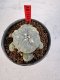 Lophophora Williamsii 6-7 cm 10 years old seed ownroot flower seedling ロフォフォラ　烏羽玉　仔吹き サボテン