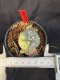 Lophophora Williamsii 6-7 cm 10 years old seed ownroot flower seedling ロフォフォラ　烏羽玉　仔吹き サボテン