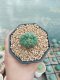 Lophophora Williamsii Cristata 3-4 cm 6 years old seed ownroot flower seedling ロフォフォラ　烏羽玉　仔吹き サボテン