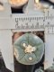 Lophophora alberto-vojtechii Zacatecas Mexico 2.5 cm 14 years old seed ownroot flower seedling ロフォフォラ　烏羽玉　仔吹き サボテン
