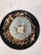 Lophophora Williamsii 5-6 cm 10 years old seed ownroot flower seedling ロフォフォラ　烏羽玉　仔吹き サボテン