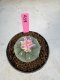 Lophophora Williamsii 5-6 cm 10 years old seed ownroot flower seedling ロフォフォラ　烏羽玉　仔吹き サボテン