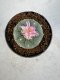 Lophophora Williamsii 5-6 cm 10 years old seed ownroot flower seedling ロフォフォラ　烏羽玉　仔吹き サボテン