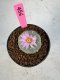 Lophophora Williamsii 5-6 cm 10 years old seed ownroot flower seedling ロフォフォラ　烏羽玉　仔吹き サボテン