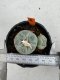 Lophophora Fricii 6-7 cm 10 years old seed ownroot flower seedling ロフォフォラ　烏羽玉　仔吹き サボテン