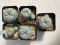 Lophophora Williamsii 6-7 cm 10 years old seed ownroot flower seedling ロフォフォラ　烏羽玉　仔吹き サボテン