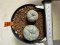 Lophophora williamsii 4-6 cm 10 years old seed ownroot flower seedling ロフォフォラ　烏羽玉　仔吹き サボテン