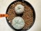 Lophophora williamsii 4-6 cm 10 years old seed ownroot flower seedling ロフォフォラ　烏羽玉　仔吹き サボテン