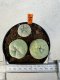 Lophophora williamsii diffusa 4-6 cm 10 years old seed ownroot flower seedling ロフォフォラ　烏羽玉　仔吹き サボテン