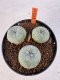 Lophophora williamsii 4-6 cm 10 years old seed ownroot flower seedling ロフォフォラ　烏羽玉　仔吹き サボテン