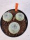 Lophophora williamsii 4-6 cm 10 years old seed ownroot flower seedling ロフォフォラ　烏羽玉　仔吹き サボテン