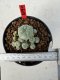 Lophophora williamsii 4-6 cm 10 years old seed ownroot flower seedling ロフォフォラ　烏羽玉　仔吹き サボテン