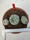 Lophophora williamsii 4-6 cm 10 years old seed ownroot flower seedling ロフォフォラ　烏羽玉　仔吹き サボテン