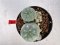 Lophophora williamsii 4-6 cm 10 years old seed ownroot flower seedling ロフォフォラ　烏羽玉　仔吹き サボテン