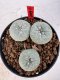 Lophophora williamsii 4-6 cm 10 years old seed ownroot flower seedling ロフォフォラ　烏羽玉　仔吹き サボテン