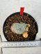 Lophophora williamsii 4-6 cm 10 years old seed ownroot flower seedling ロフォフォラ　烏羽玉　仔吹き サボテン