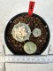 Lophophora williamsii 4-6 cm 10 years old seed ownroot flower seedling ロフォフォラ　烏羽玉　仔吹き サボテン