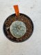 Lophophora Williamsii 4-5 cm 12 years old seed ownroot flower seedling ロフォフォラ 烏羽玉　仔吹き サボテン