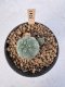 Lophophora Williamsii 5-6 cm 12 years old seed ownroot flower seedling ロフォフォラ　烏羽玉　仔吹き サボテン