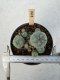 Lophophora Williamsii 5-6 cm 12 years old seed ownroot flower seedling ロフォフォラ　烏羽玉　仔吹き サボテン