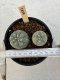 Lophophora Williamsii 5-6 cm 12 years old seed ownroot flower seedling ロフォフォラ　烏羽玉　仔吹き サボテン