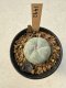 Lophophora Williamsii  5-6 cm 12 years old seed ownroot flower seedling ロフォフォラ　烏羽玉　仔吹き サボテン