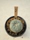 Lophophora Williamsii  5-6 cm 12 years old seed ownroot flower seedling ロフォフォラ　烏羽玉　仔吹き サボテン