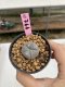 Lophophora Williamsii 6-7 cm 9 years old seed ownroot flower seedling ロフォフォラ　烏羽玉　仔吹き　サボテン