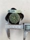 Lophophora williamsii 3-4 cm 4-5 years old - ownroot grow from seed