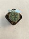 Lophophora williamsii 3-4 cm 4-5 years old - ownroot grow from seed