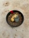 Lophophora Williamsii Variegata 5-6 cm 12 years old seed ownroot flower seedling ロフォフォラ 烏羽玉　仔吹き サボテン