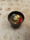 Lophophora Williamsii Variegata 5-6 cm 12 years old seed ownroot flower seedling ロフォフォラ 烏羽玉　仔吹き サボテン